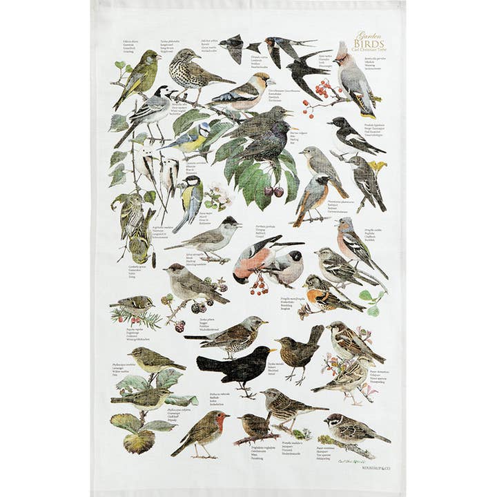 Tea Towel: Garden Birds by Carl Christian Tofte—features illustrated British garden birds labeled among plants, printed on 100% organic cotton (19x27) by Koustrupco.
