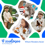 Children with stuffed animals, including a Golden Doodle plush. Zoologee logo and the tagline Where Wonders Await are shown underneath.