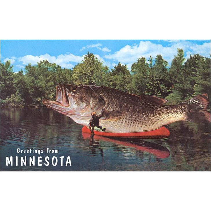 Magnet: Greetings from MN Big Fish