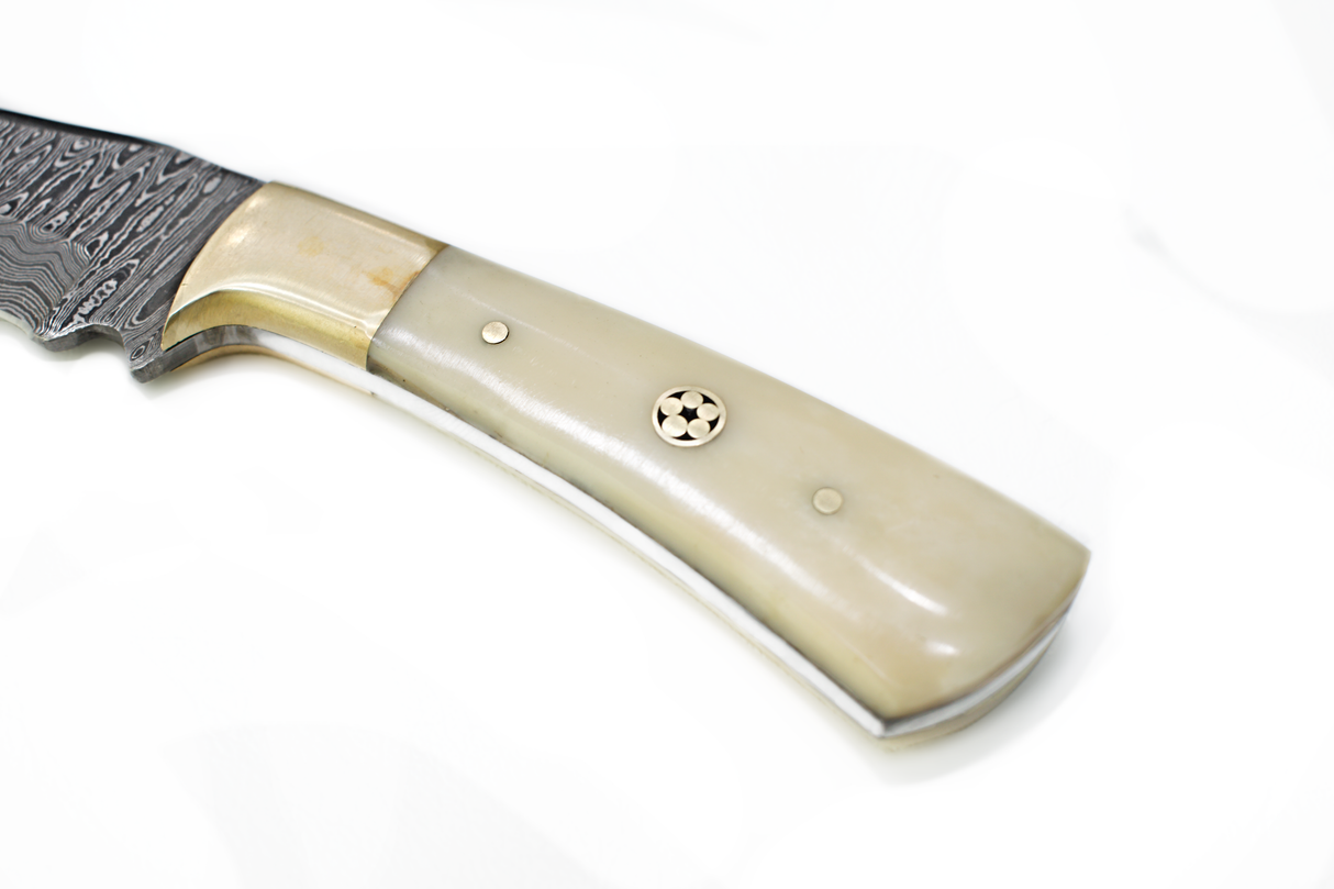 Knife: Damascus Steel Knife Blade with Camel Bone Handle Knife