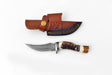 The Knife: Deer Horn Trailblazer Damascus by Titan features a Damascus blade and stag horn handle, shown beneath a brown leather sheath with buttoned strap and embossed design.