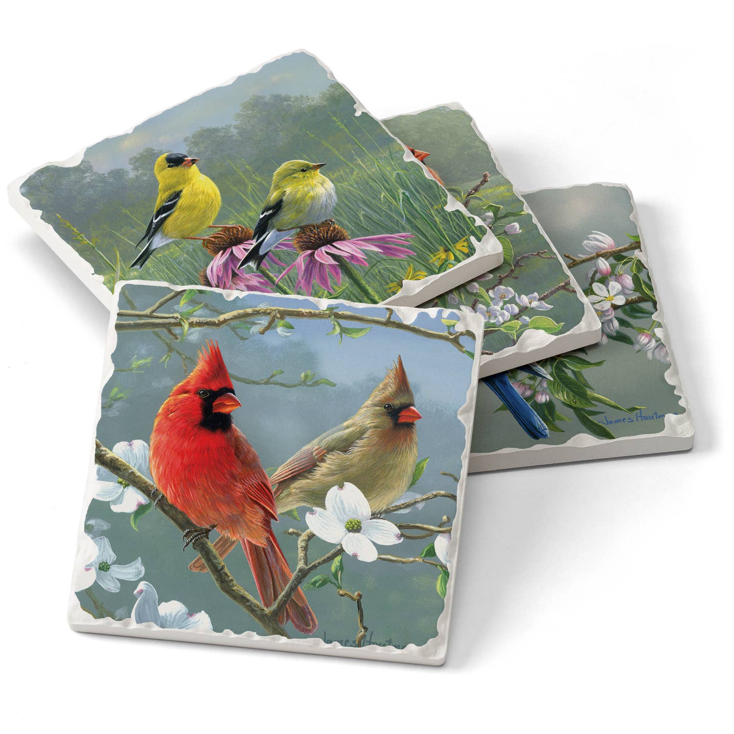 The Coaster: Beautiful Songbirds Assorted Image Tumbled Tile Coaster 4 Pack features four stone coasters with captivating images of cardinals, goldfinches, and bluebirds on floral branches. These absorbent stones enhance your decor with a touch of nature.