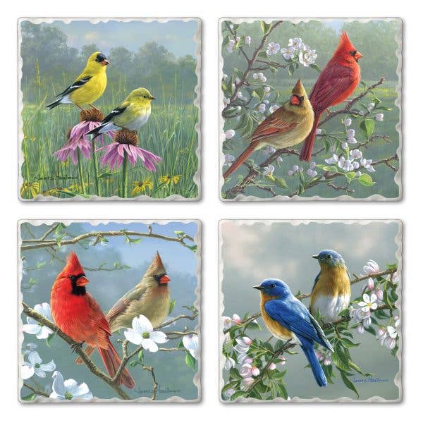 The Beautiful Songbirds Assorted Image Coaster 4 Pack features goldfinches, cardinals, and bluebirds on flowering branches. These absorbent stone coasters add a vibrant touch of nature to your décor.