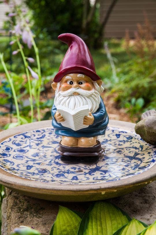 The Garden Gnome: Gnome on a Throne features a whimsical gnome with a red hat and white beard, holding an open book while standing on a decorative plate in a garden setting.