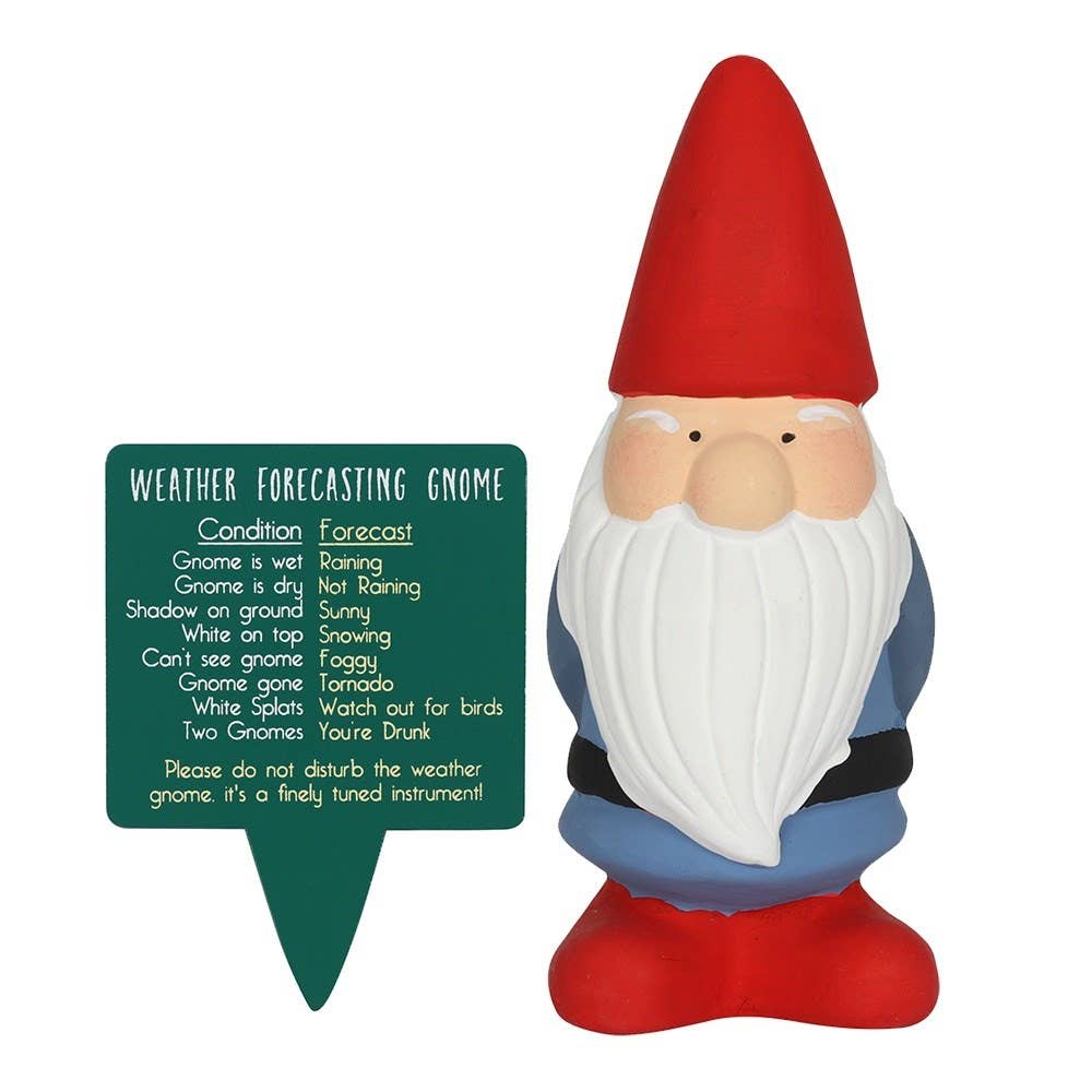 The whimsical Gnome: Terracotta Weather Forecasting Gnome Garden Ornament brings charm to the garden with its red hat, blue outfit, and humorous weather sign.