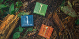 Three soap boxes, each labeled with scents like balsam pine, are nestled on forest ground with leaves and logs, containing body bars formulated with natural exfoliators.