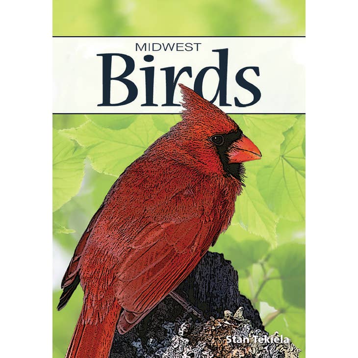 Playing Cards: Midwest Birds