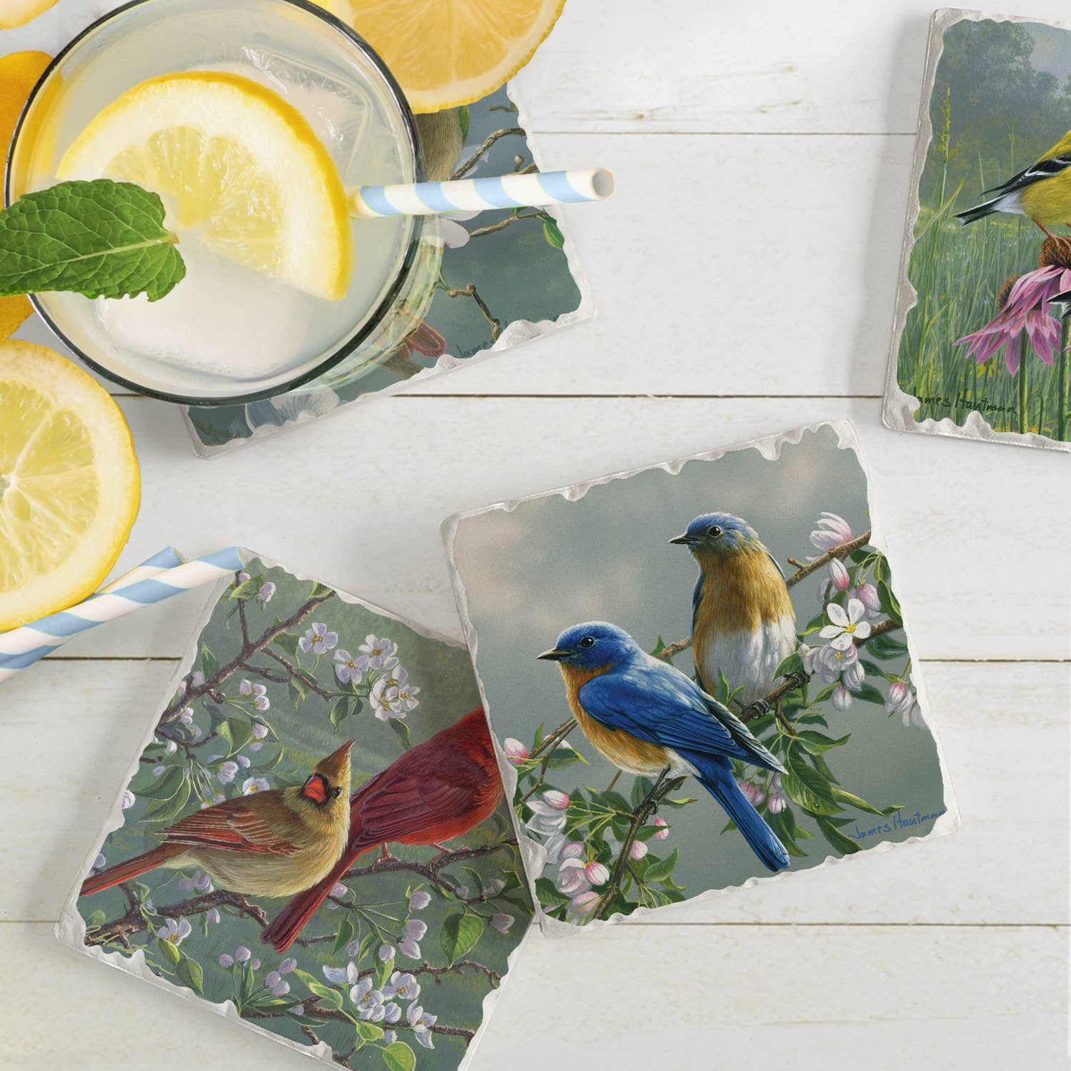 A glass of lemonade with straw and mint rests on the Beautiful Songbirds Assorted Image Tumbled Tile Coaster, featuring colorful bird art. Lemon slices beside the glass add zest to the lively table setup.