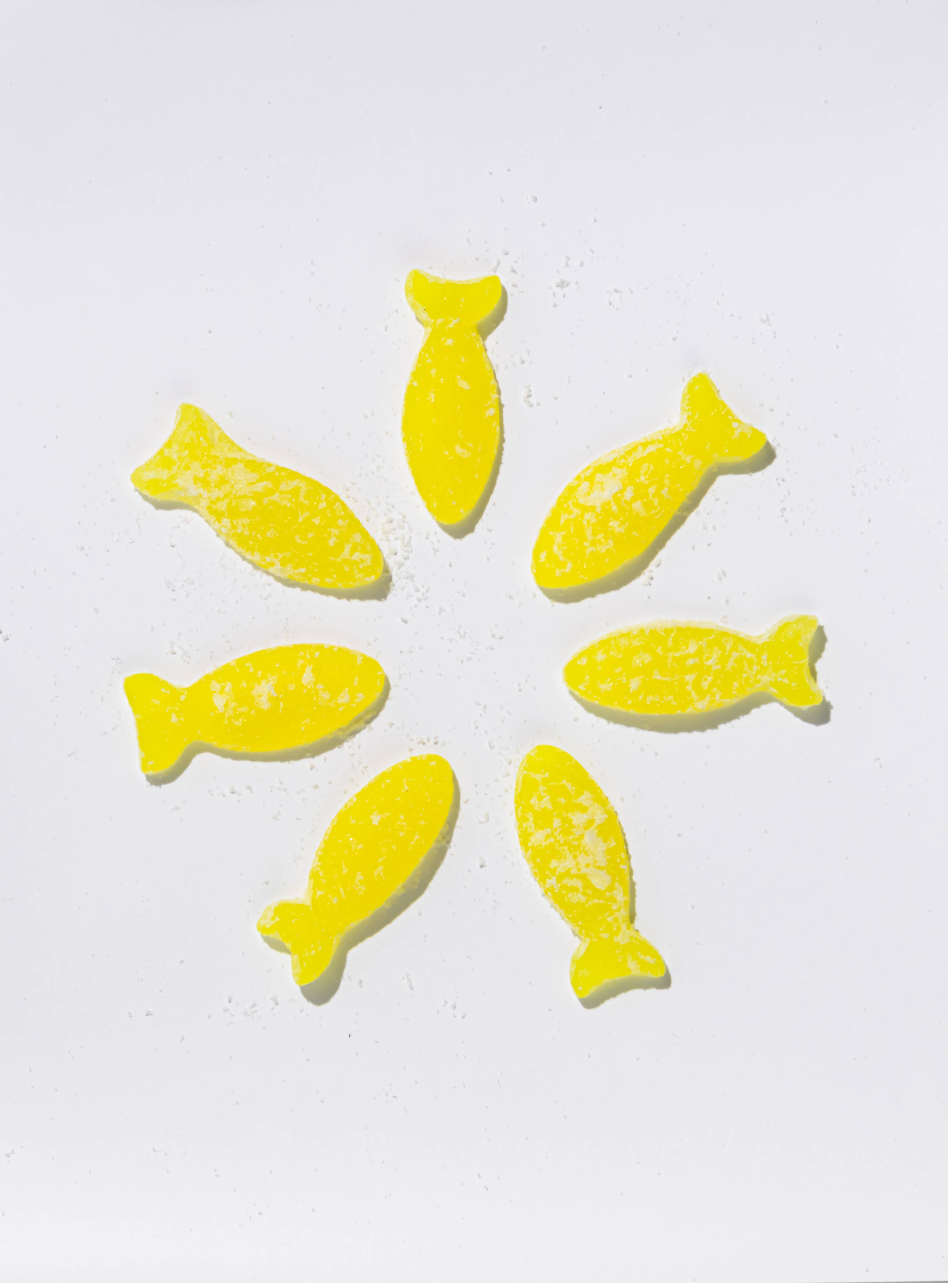 Seven yellow Bon Bon Sour Elderflower Fish gummies arranged in a circle on a white background.