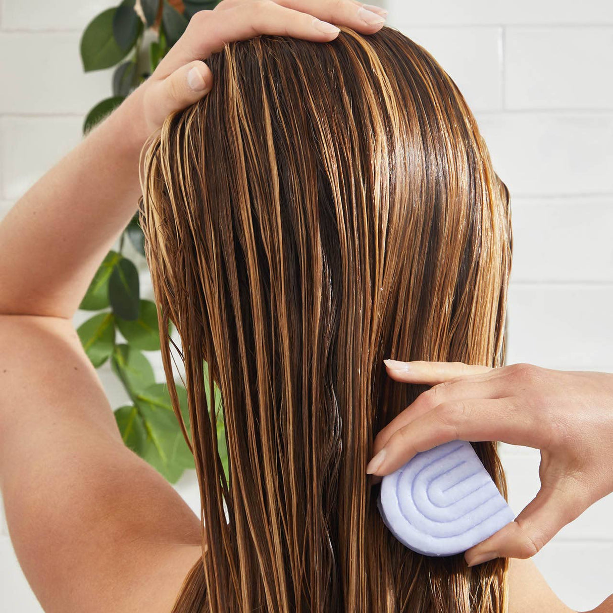 A person uses the Kitsch Purple Toning Shampoo & Conditioner Bar Combo for color-treated hair; a plant hangs in the background.