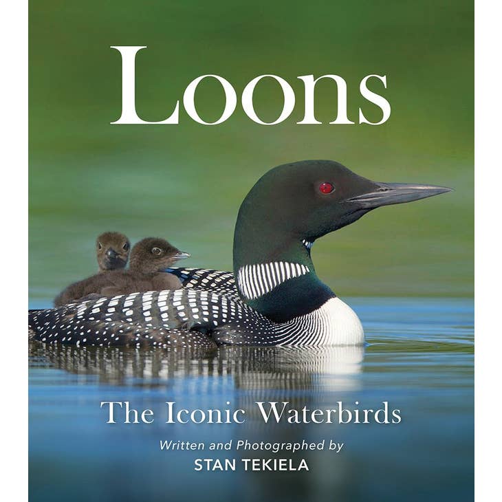 The book cover for "Loons, The Iconic Waterbirds" showcases an enchanting image of a loon swimming elegantly with two chicks on its back, skillfully captured by the renowned wildlife photographer Stan Tekiela.