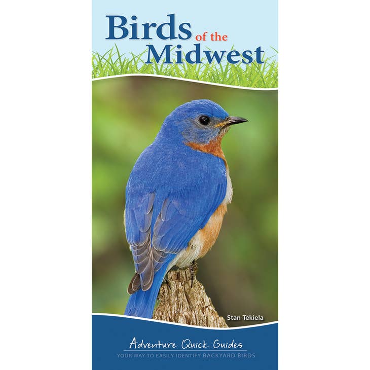Book: Birds of the Midwest Quick Guide