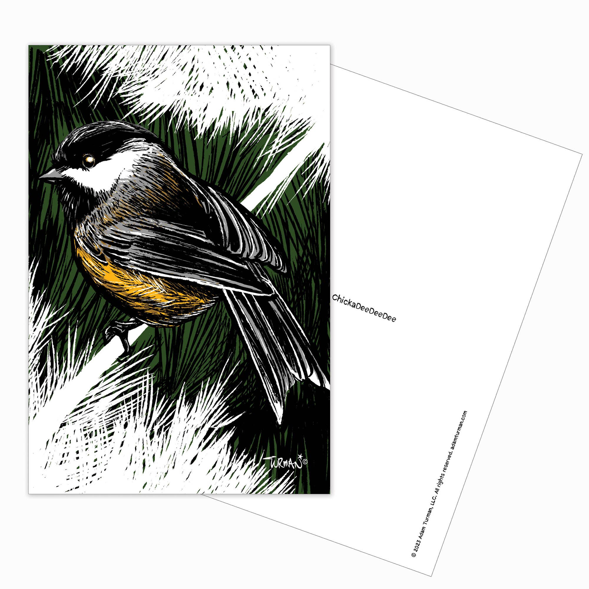 Illustration of a chickadee on a branch, postcard back with chickadeedeedee and copyright—Postcards: MN Abbey Road is a charming Minnesota postcard and unique collectible print.