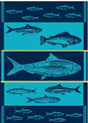 Scandinavian-inspired illustration of assorted fish in horizontal rows on a turquoise-blue background—ideal for the Turquoise-Blue Fish Jacquard Tea Towel 20" x 28", perfect for any Nordic kitchen.