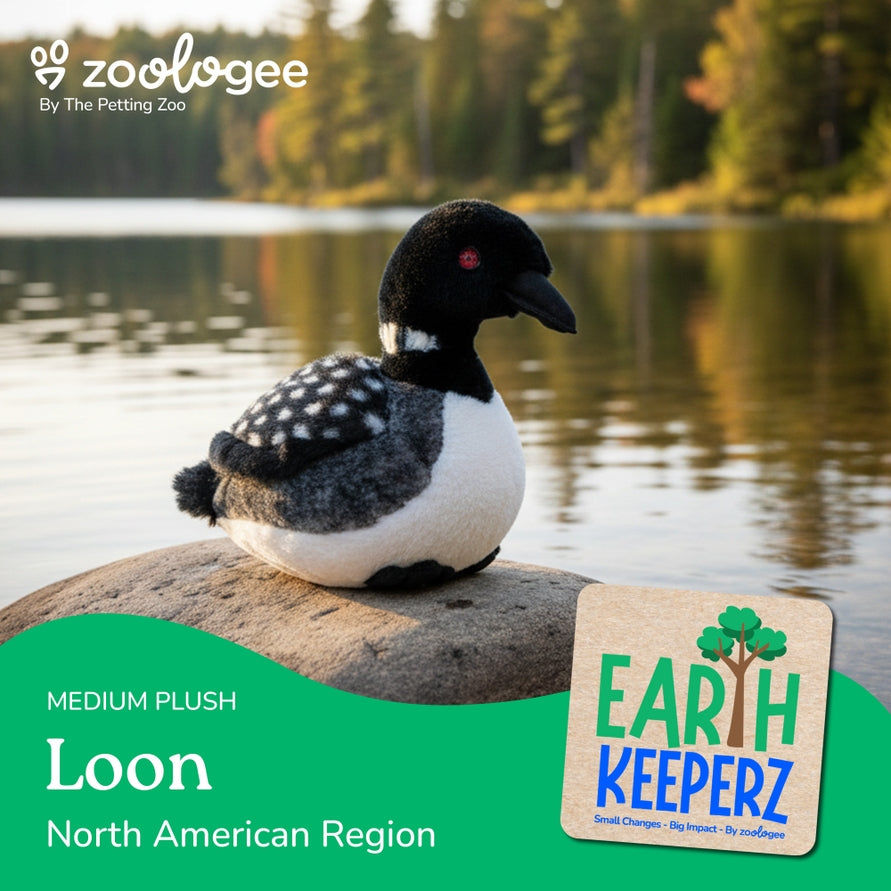 A 12-inch-long, 9-inch-high Earth Keeperz Loon stuffed animal from Faire - The Petting Zoo, made from recycled plastic water bottle fabric, rests on a rock by a lakeside with trees behind. Text reads: Plush: Loon Stuffed Animal – Earth Keeperz, North American Region – an eco-friendly plush. Small Changes. Big Impact.