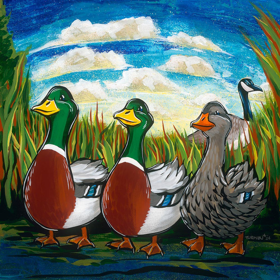 Artwork: Exotic We Say Duck, Duck, Gray Duck by Adam Turman 8x8 inch Print