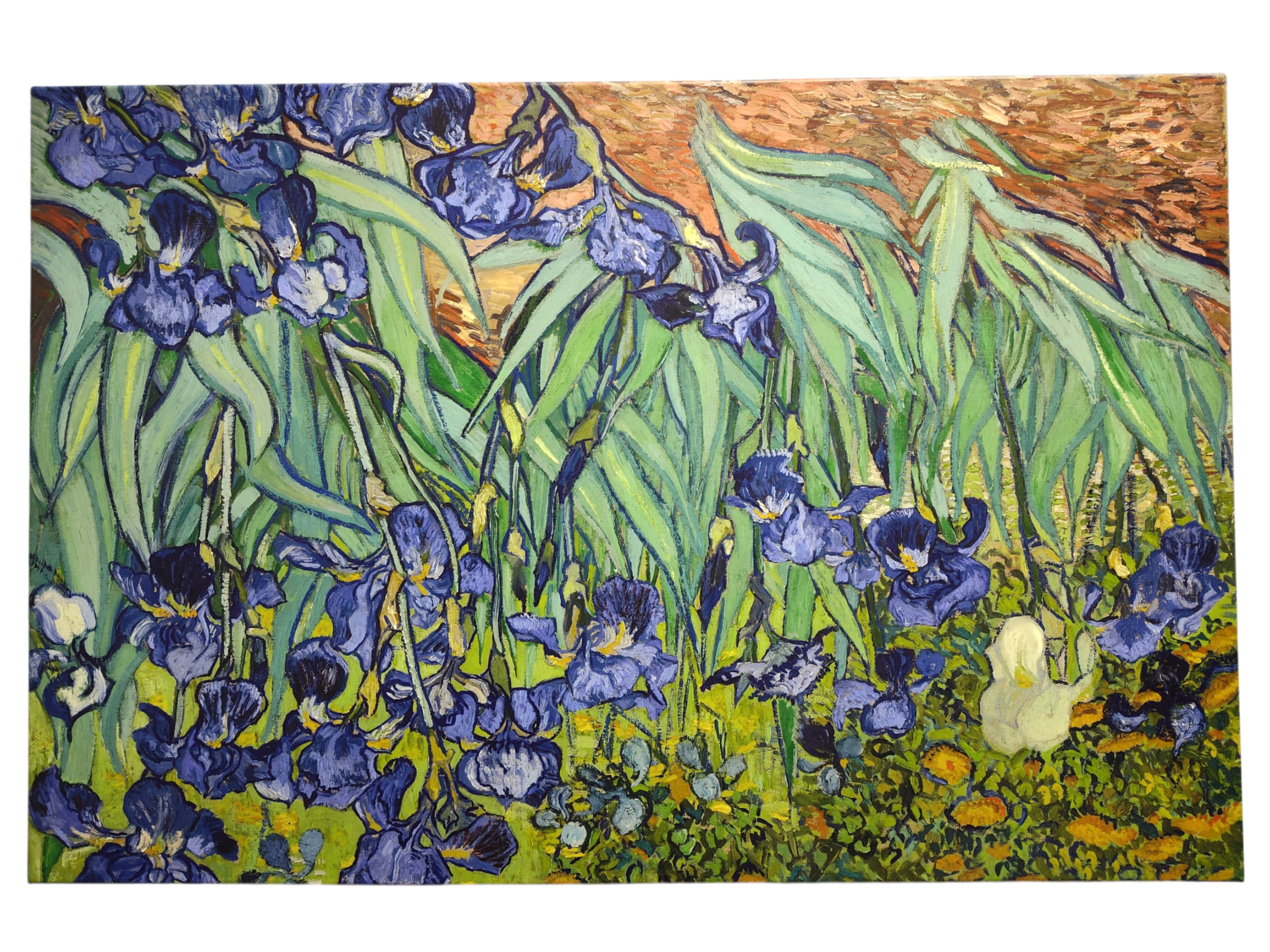 A vibrant print on canvas featuring purple irises with green leaves on a yellow-green backdrop, inspired by Vincent Van Gogh’s "Irises" (1853-1890), showcasing bold brushstrokes and textured warmth.