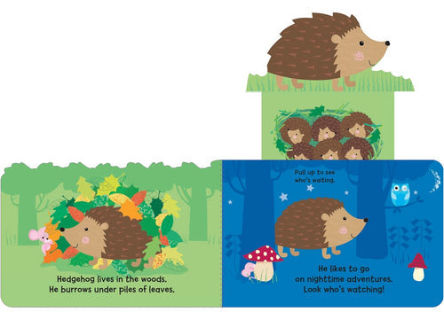 Explore Woodland Babies Fun for Little Fingers Pull-Ups, a charming hedgehog-themed board book filled with woodland creatures and forest backgrounds. Young readers will love the pull-tab surprises as they discover hedgehog habits and adventures in an enchanting way.