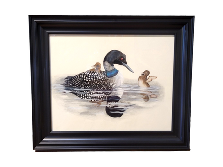 Original artwork titled "Loon - Born for the Water," a 25x21 framed piece, depicts a loon swimming gracefully with its reflection beautifully captured, crafted using expert colored pencil drawing techniques.