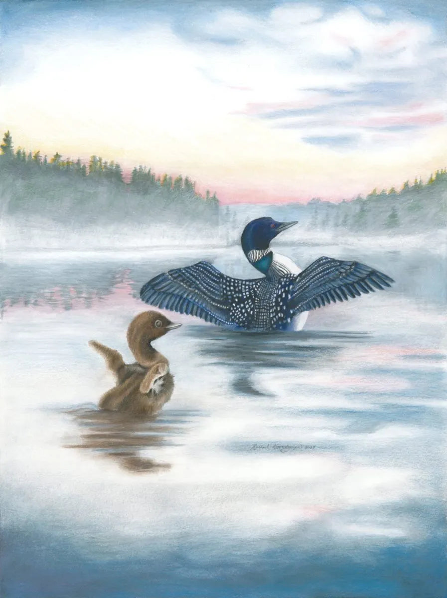 At sunrise in the misty Minnesota wilderness, a loon with spread wings gracefully floats on the lake, accompanied by a cute, fluffy chick paddling nearby. This enchanting scene is beautifully captured in the "Loon: Greet the Morning" Giclée Print 11x14.