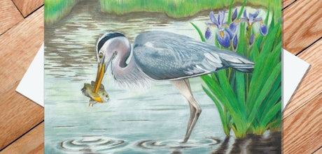 A Great Blue Heron catches a fish among blooming purple irises and green grass—a perfect scene featured on the Card: Great Blue Heron: Fishing 5x7 Greeting Card with Envelope.