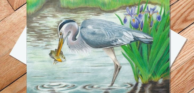 A Great Blue Heron catches a fish among blooming purple irises and green grass—a perfect scene featured on the Card: Great Blue Heron: Fishing 5x7 Greeting Card with Envelope.