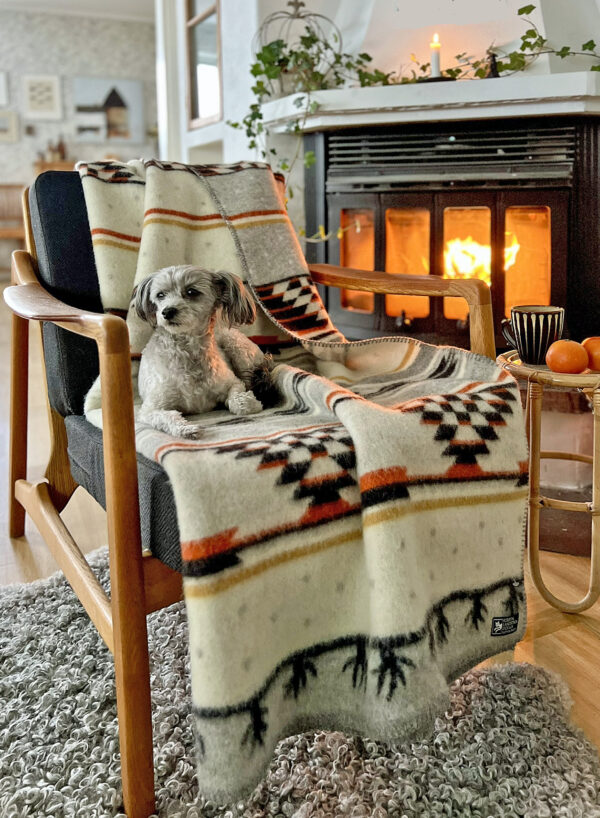 A small dog sits on a Sundborn 100% Norwegian Lambs Wool blanket by Kerstin Landstrom, draped over a chair near a warm fireplace. A candle and apples sit on a side table, with greenery in the background.