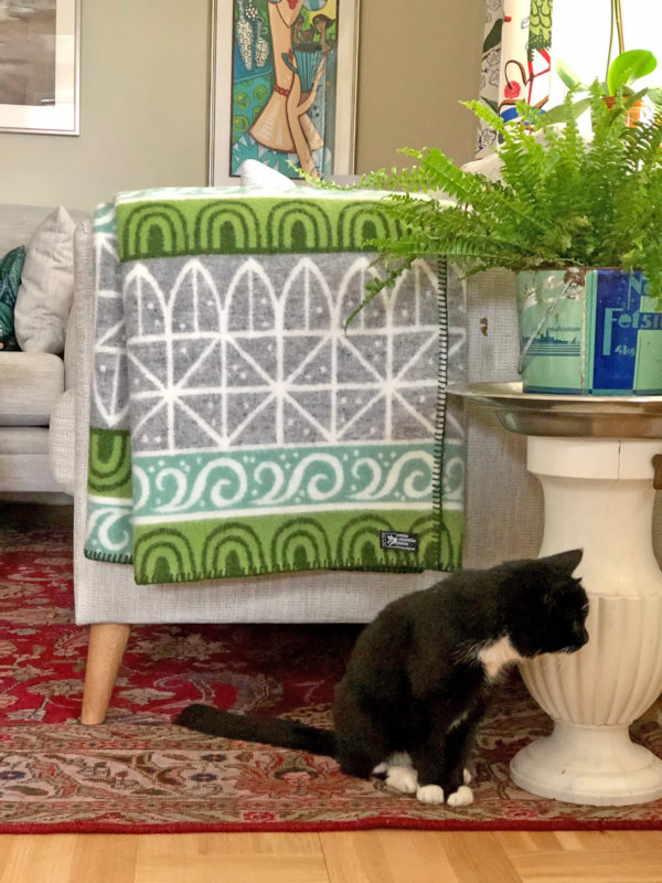 A black and white cat sits on a wooden floor by a small round table with a potted plant. An Uppsala wool blanket in grey, green, and white is draped over a chair, adding charm to the scene. Colorful artwork decorates the wall.