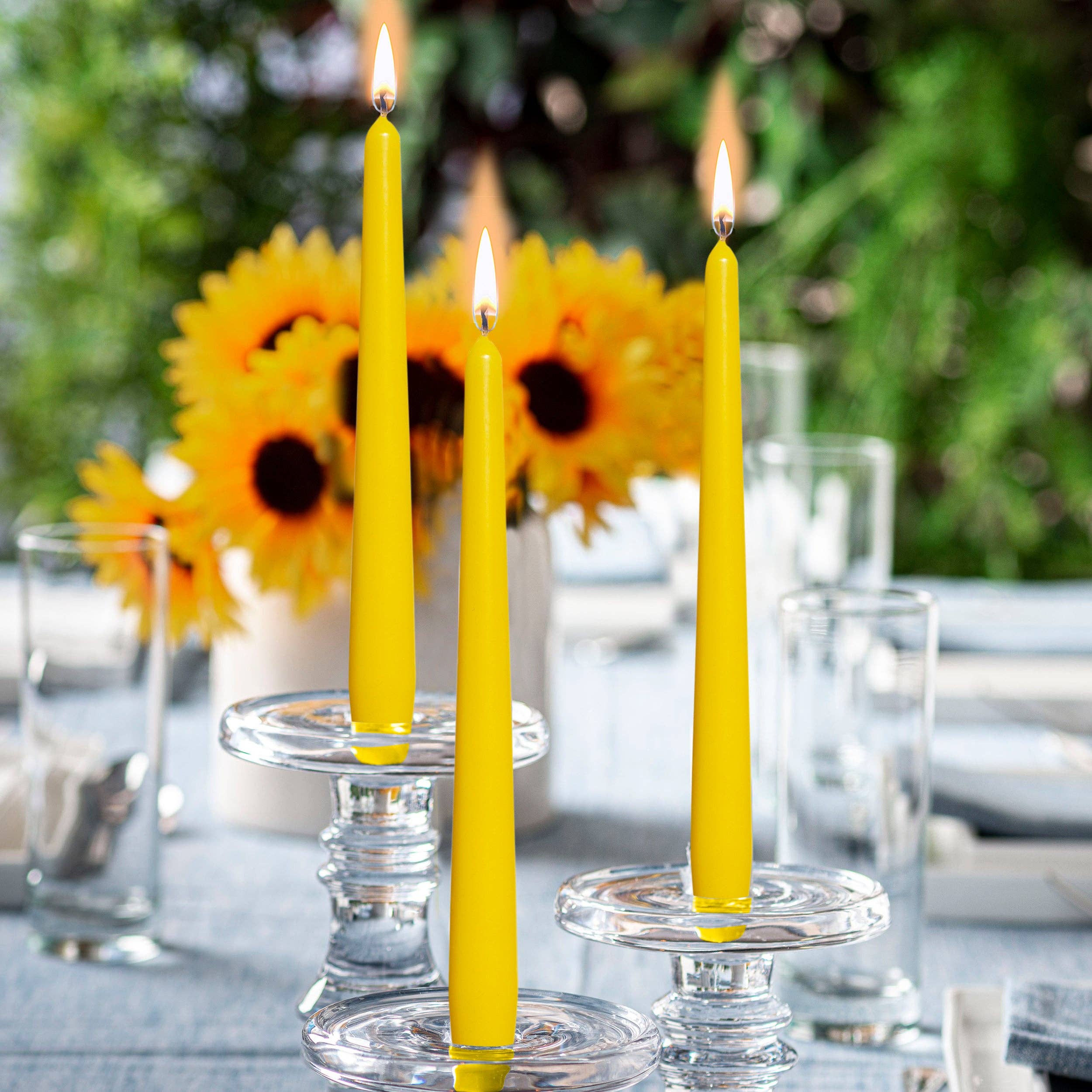 Three tall white taper candles from the 10" Taper 4 Pack, crafted from high-quality paraffin wax, sit elegantly on glass holders. Unscented and dripless, they cast a warm glow against a vibrant backdrop of sunflowers and lush greenery.