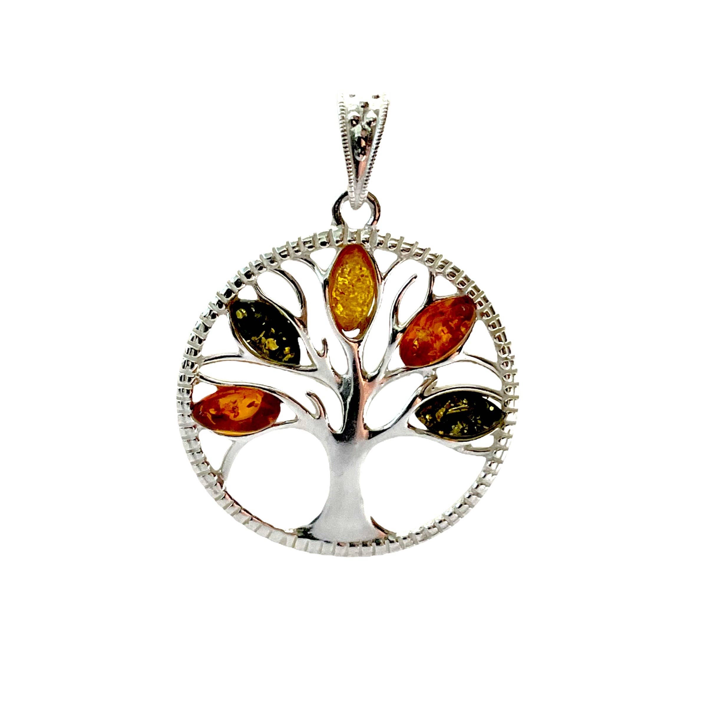 A stunning sterling silver Tree of Life pendant with five multi-color Baltic amber stones as foliage, elegantly enclosed in a circular setting and paired with an 18 sterling silver chain.