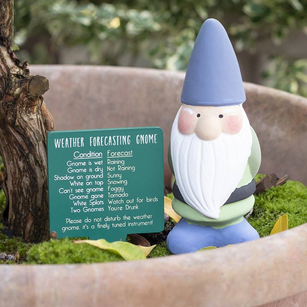 A terracotta garden ornament called the Weather Forecasting Gnome, humorously details weather conditions and stands in a planter, adding whimsy to the decor.