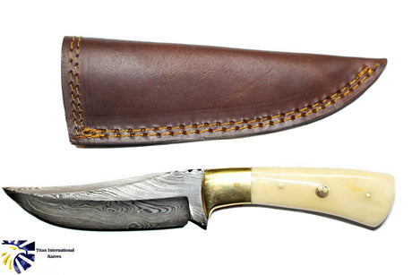 Knife: Damascus Steel Knife Blade with Camel Bone Handle Knife