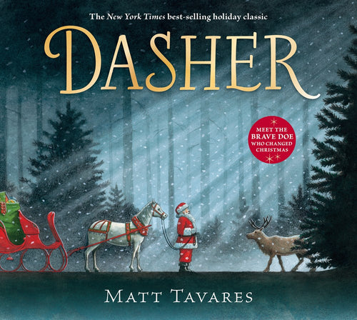 Book: Dasher