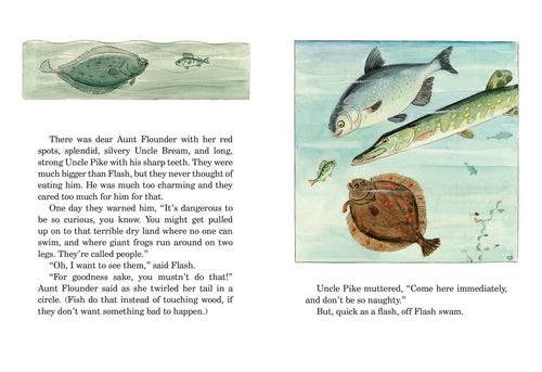 The children's picture book "The Curious Fish" features a beautifully illustrated page where fish characters engage in a magic adventure underwater, capturing Elsa Beskow's whimsical style as it narrates a warning to Flash about ocean dangers.