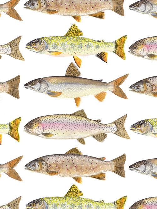 Illustration of various types of fish displayed in rows on a white background, reminiscent of Kirsten Sevig's charming designs found in the "Card Pack: Up North Notes," capturing nature's beauty on recycled paper.