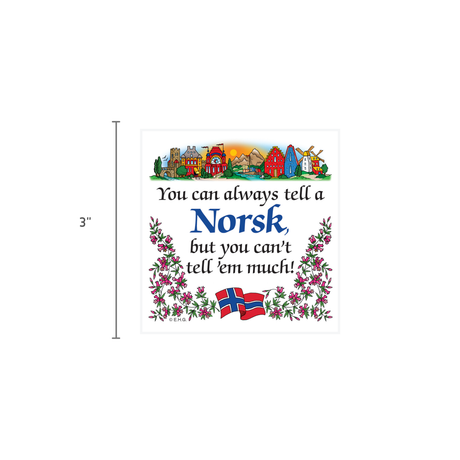Fridge magnet with illustration of a Norwegian village, flowers, and flag, with visible text: You can always tell a Norsk, but you can’t tell em much!.