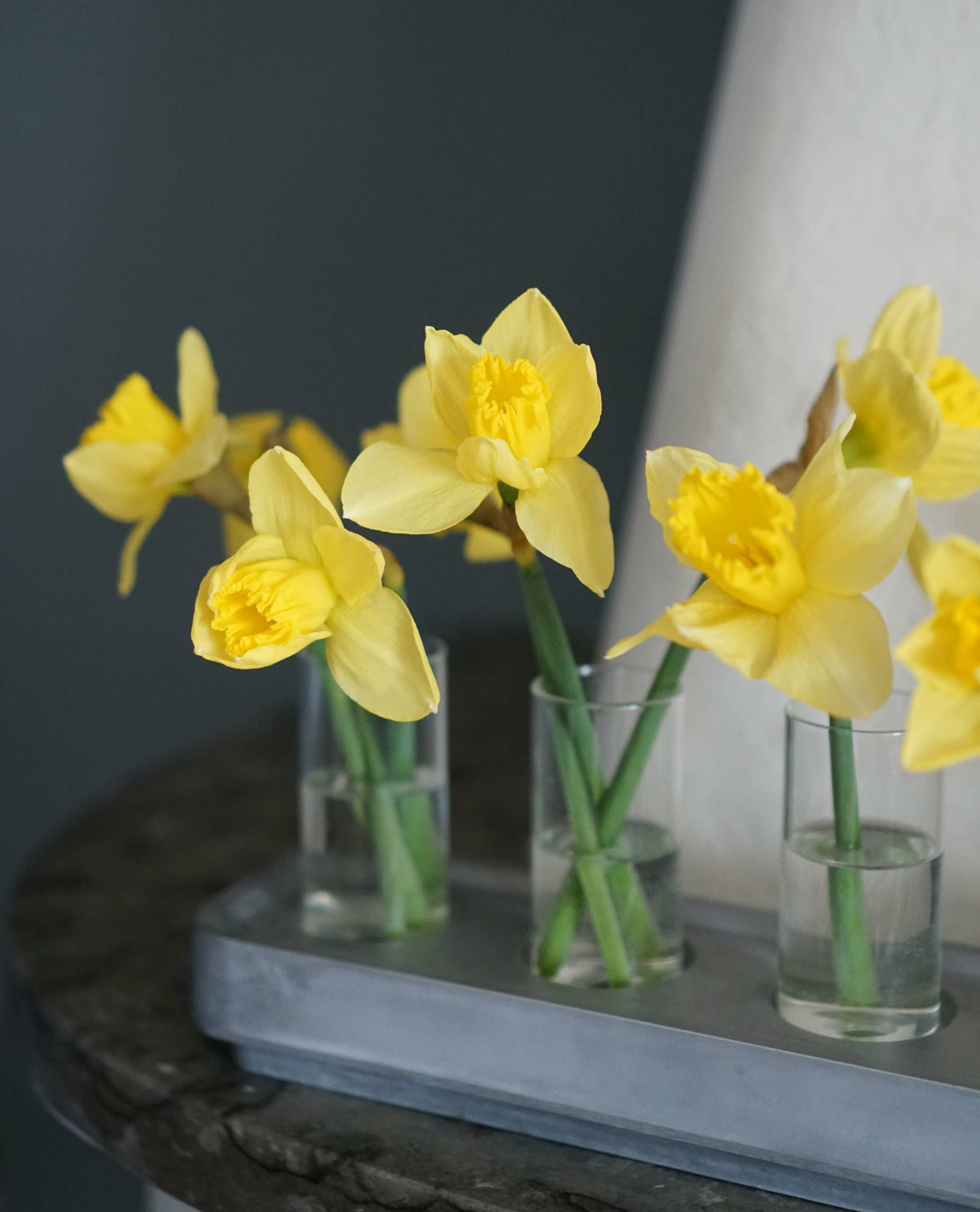 A set of 4 Stumpastaken mini vases holding yellow daffodils on a metal tray atop a dark wood surface, set against a gray backdrop.