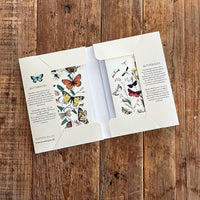Card Pack: Butterflies 8 cards w/envelopes- made in Europe Designed by Koustrup & Co Denmark