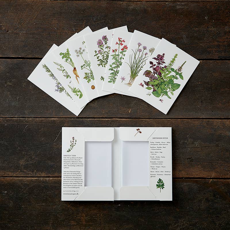 The "Card Pack: Herbs" set, featuring eight botanical illustration cards with envelopes in a beautifully unfolded cardfolder, is elegantly displayed on a wooden surface. Each card showcases delicate herb motifs and plant descriptions, all crafted from FSC-certified paper.