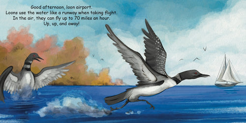 Two loons run across the water as one takes flight, with a sailboat and trees in the background—perfect for young bird-watchers in the charming board book Good Night Loons by Adam Gamble & Mark Jasper. Text about loons is at the top.