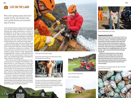 A captivating magazine spread portrays the rustic allure of farming and fishing in the Faroe Islands, featuring imagery of sheep herding, milk collection, and egg gathering set against breathtaking landscapes with quaint houses and tractors. Use this as inspiration for your travel guide with "Book: Insight Guides Iceland" to explore beyond the Blue Lagoon.