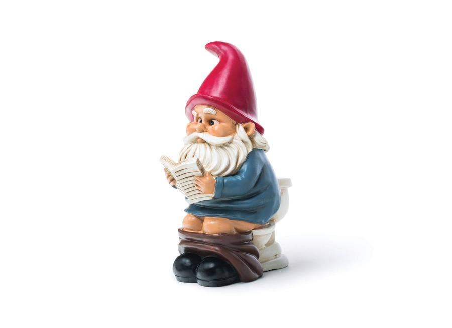 A comical Garden Gnome: Gnome on a Throne, wearing a red hat and blue shirt, sits on a toilet, engrossed in a book.