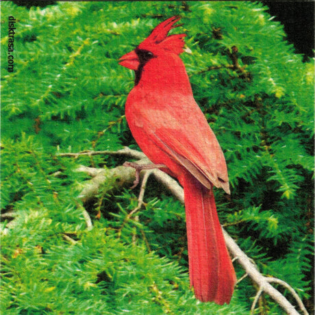 A vibrant red cardinal perched on a tree branch against a backdrop of green foliage, much like the vivid tones featured in the Red Cardinal Dish Cloth.