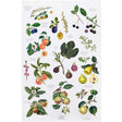Vibrant depictions of figs, pears, peaches, and plums on a crisp white background adorn the Koustrup & Co Denmark Tea Towel: Fruit Organic, made from 100% organic cotton.