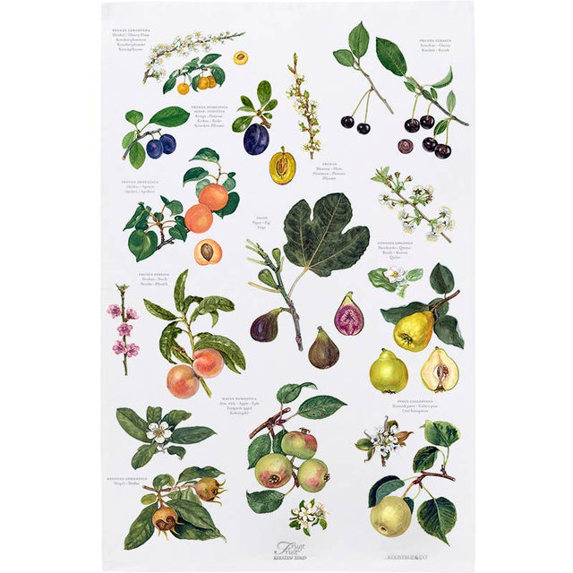 Vibrant depictions of figs, pears, peaches, and plums on a crisp white background adorn the Koustrup & Co Denmark Tea Towel: Fruit Organic, made from 100% organic cotton.