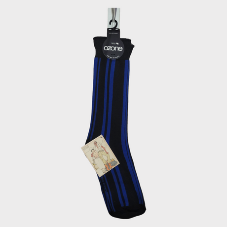 A single black sock with vertical blue stripes hangs on a hanger, featuring a vintage-style tag with an illustration that embodies the eclectic essence of Willi Wear.